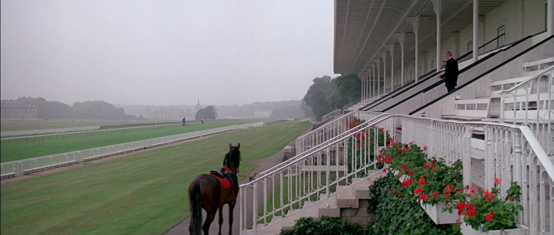 The racetrack grandstand
